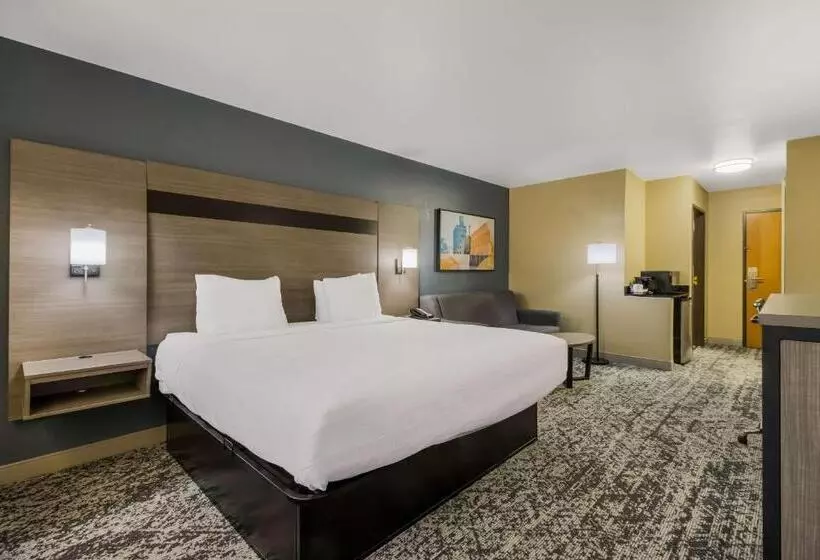 اتاق استاندارد با تخت بزرگ, Best Western Temple Inn & Suites