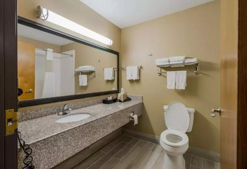 اتاق استاندارد, Best Western Temple Inn & Suites
