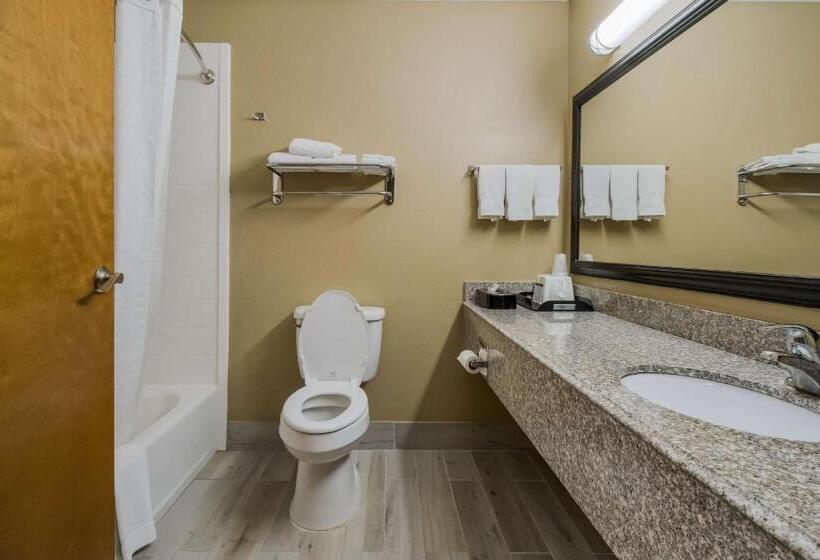 جناح لذوى الاحتياجات الخاصة, Best Western Temple Inn & Suites