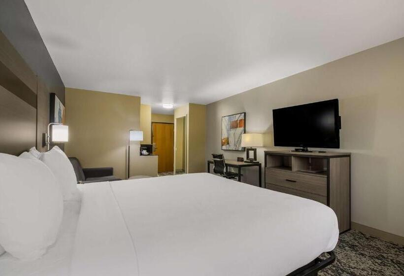 适合残疾人士使用的带超级大床的标准间, Best Western Temple Inn & Suites