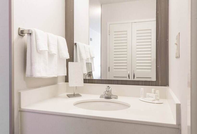 Номер Стандарт 2 Двуспальные Кровати, Courtyard By Marriott Rocky Mount