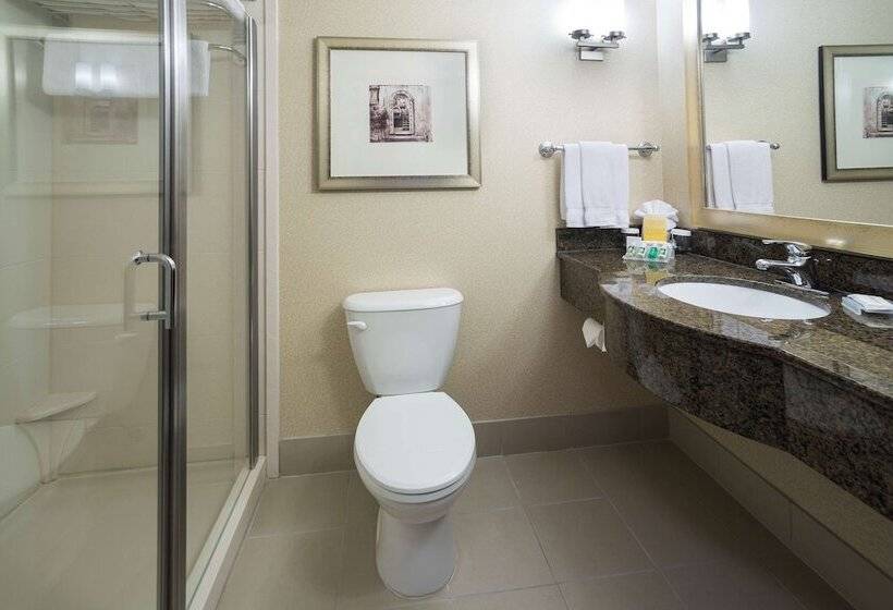 חדר סטנדרט, Hilton Garden Inn Sioux Falls South