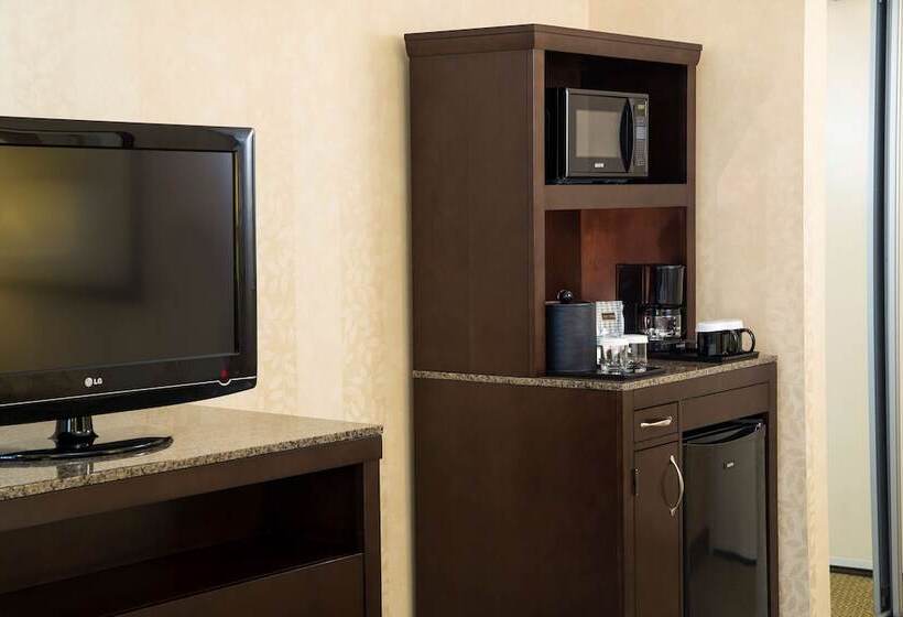 Номер Стандарт, Hilton Garden Inn Sioux Falls South