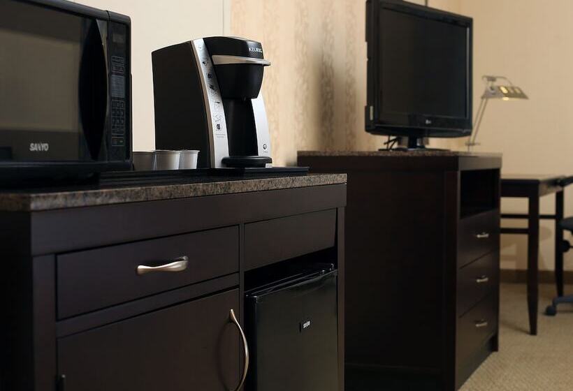 חדר סטנדרט, Hilton Garden Inn Sioux Falls South