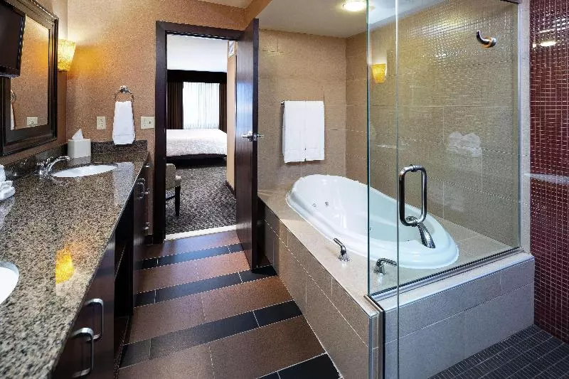 سوئیت با تخت بزرگ, Hilton Garden Inn Sioux Falls South