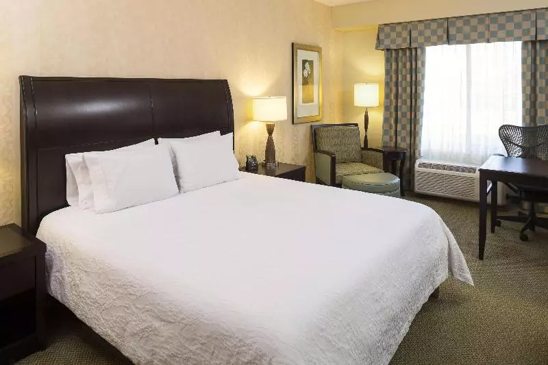 اتاق استاندارد با تخت بزرگ, Hilton Garden Inn Sioux Falls South