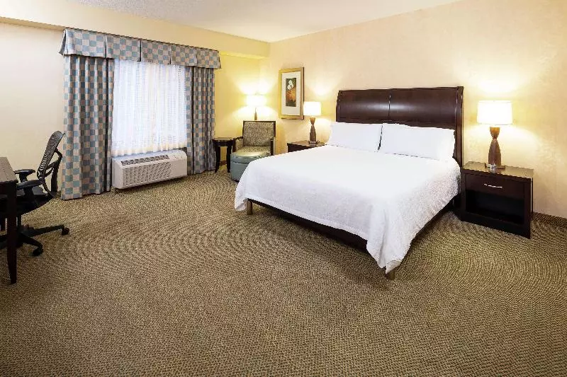 اتاق استاندارد با تخت بزرگ, Hilton Garden Inn Sioux Falls South