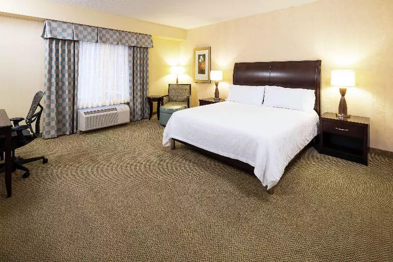 اتاق استاندارد با تخت بزرگ, Hilton Garden Inn Sioux Falls South