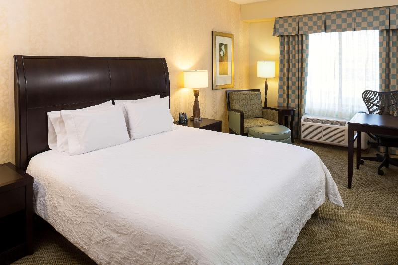 Стандартный Номер Кровать Кинг, Hilton Garden Inn Sioux Falls South