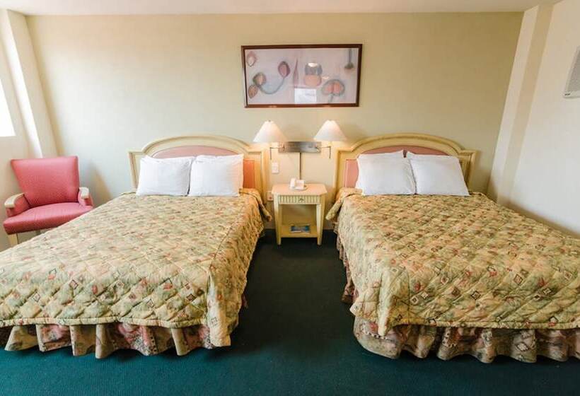 2ダブルベッドのスタンダードルーム, San Francisco Irapuato Business Class