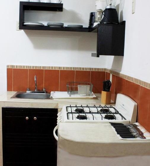 标准间, La Iguana Vallarta Lgbt Adults Only   Romantic Zone   Party Clubbing Street