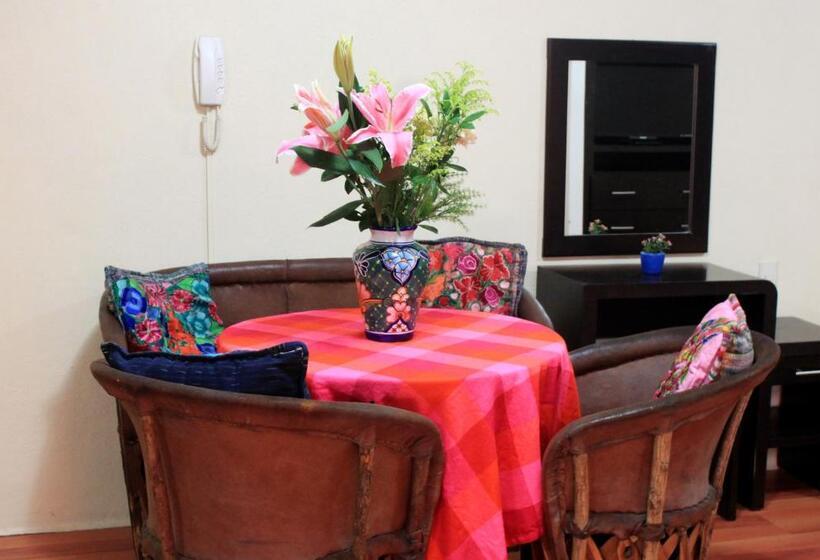 标准间, La Iguana Vallarta Lgbt Adults Only   Romantic Zone   Party Clubbing Street