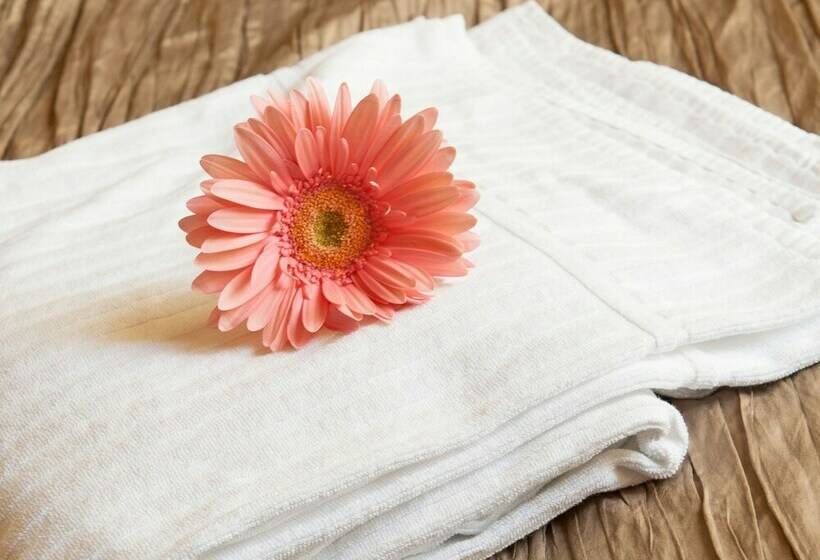 חדר דלוקס, Barocco Guest House