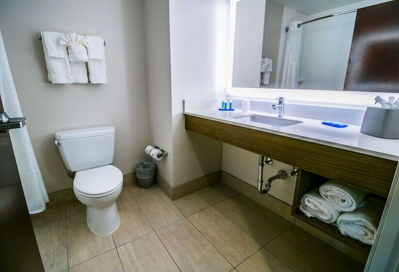 스위트, Holiday Inn Express Hotel & Suites Baton Rouge  Port Allen, An Ihg