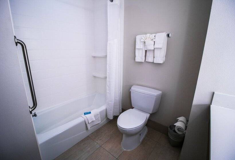 جناح, Holiday Inn Express Hotel & Suites Baton Rouge  Port Allen, An Ihg