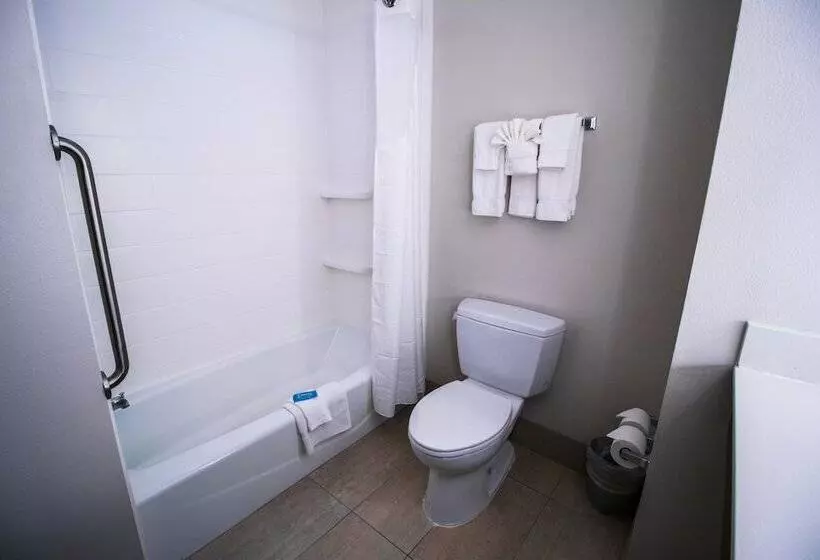 スイート, Holiday Inn Express Hotel & Suites Baton Rouge  Port Allen, An Ihg