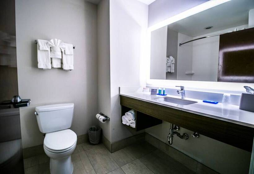 غرفة قياسية, Holiday Inn Express Hotel & Suites Baton Rouge  Port Allen, An Ihg