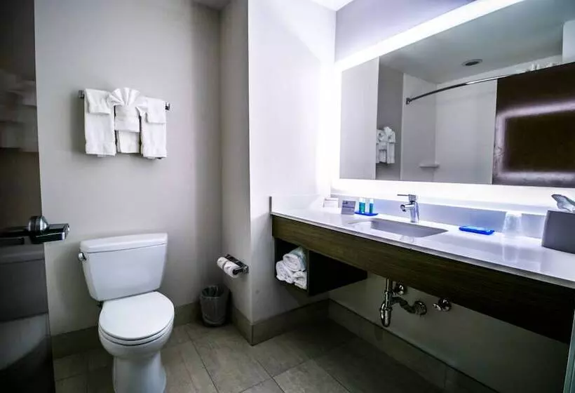 スタンダードルーム, Holiday Inn Express Hotel & Suites Baton Rouge  Port Allen, An Ihg
