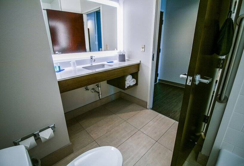 جناح, Holiday Inn Express Hotel & Suites Baton Rouge  Port Allen, An Ihg