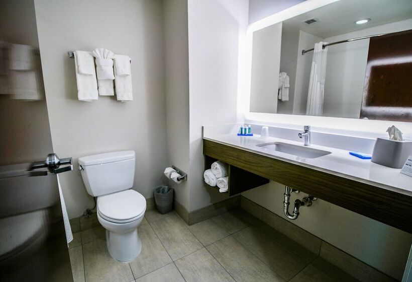 جناح, Holiday Inn Express Hotel & Suites Baton Rouge  Port Allen, An Ihg