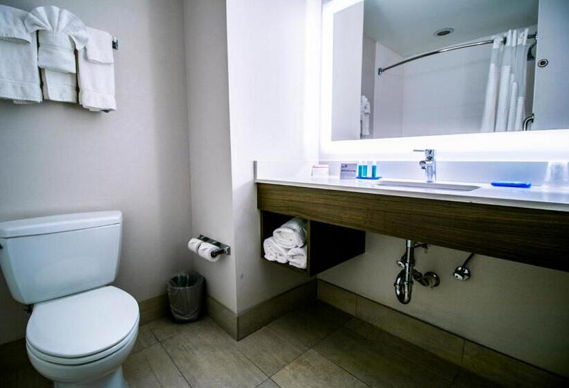 جناح, Holiday Inn Express Hotel & Suites Baton Rouge  Port Allen, An Ihg