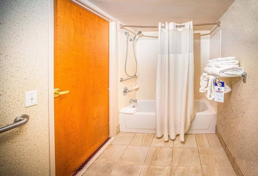 デラックススイート, Americinn By Wyndham Denver Airport