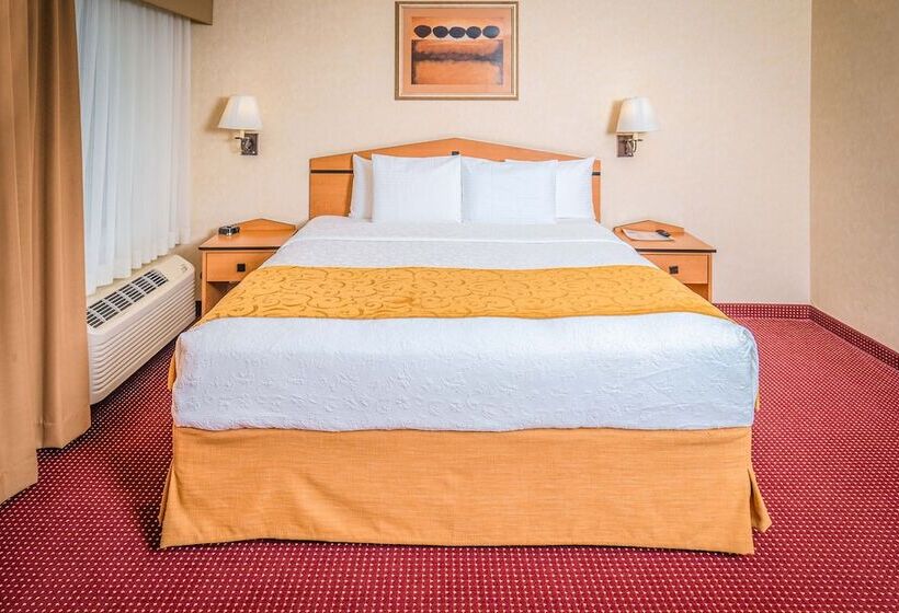 デラックススイート, Americinn By Wyndham Denver Airport