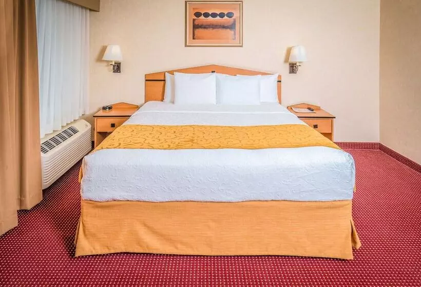 デラックススイート, Americinn By Wyndham Denver Airport