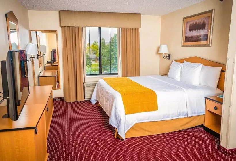 デラックススイート, Americinn By Wyndham Denver Airport