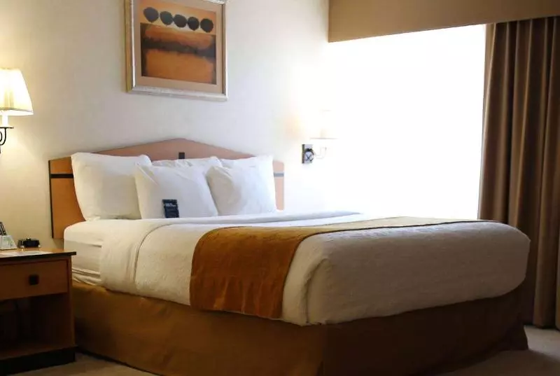 キングサイズベッドのスタンダードルーム, Americinn By Wyndham Denver Airport