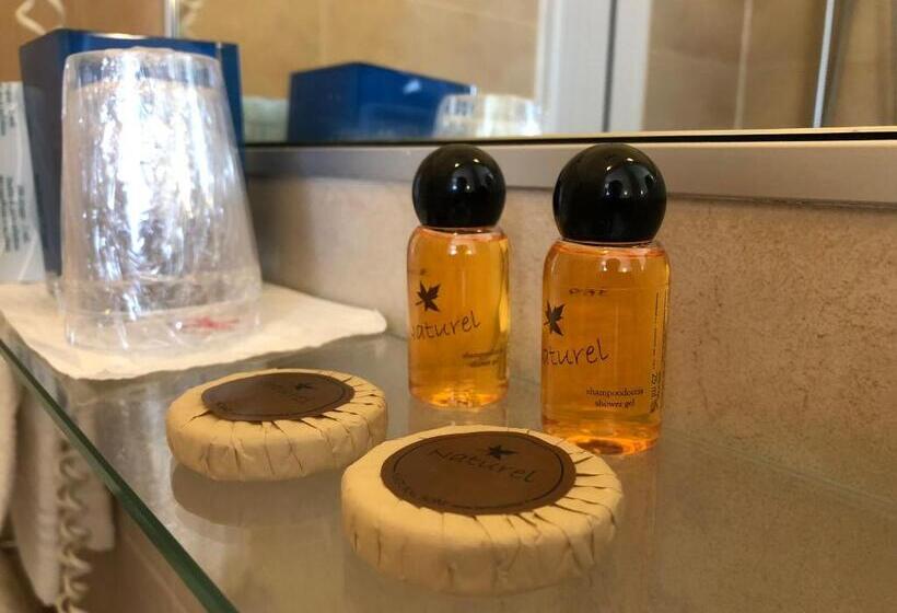اتاق استاندارد یک نفره, Brenta Milano