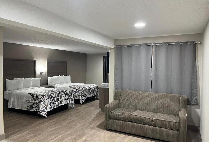 Люкс, Red Roof Inn & Suites Newport News