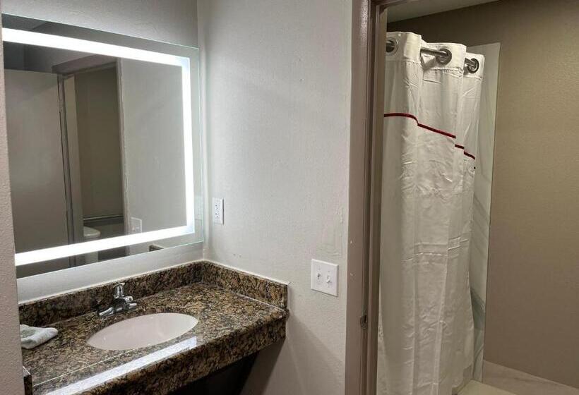 디럭스 룸 킹사이즈 침대, Red Roof Inn & Suites Newport News