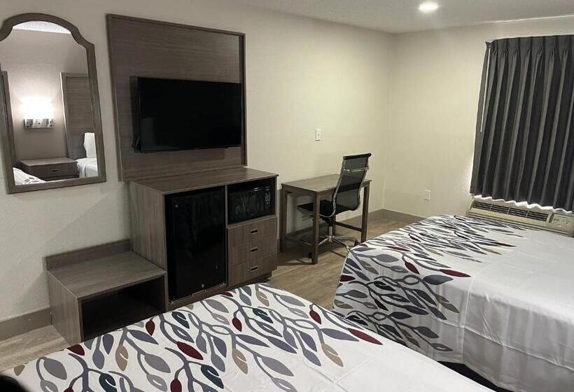 장애인용 디럭스룸, Red Roof Inn & Suites Newport News