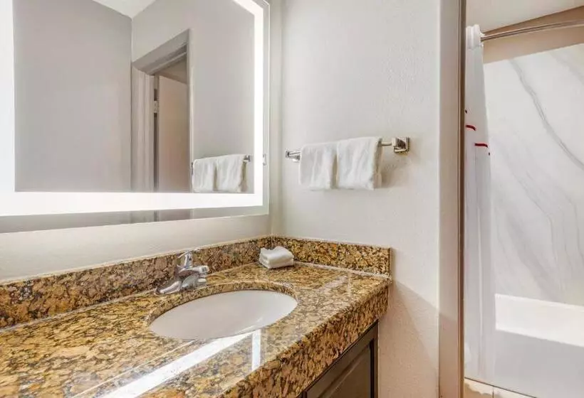 キングサイズベッドのデラックスルーム, Red Roof Inn & Suites Newport News