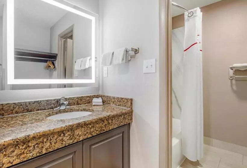 障害者適応デラックスルーム, Red Roof Inn & Suites Newport News