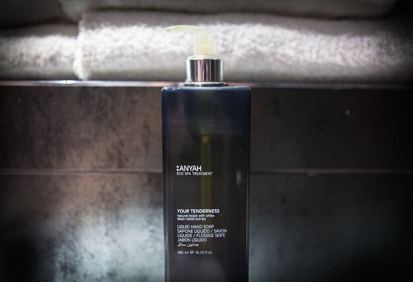 单人基本间, The W14 Kensington