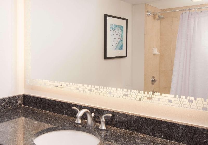 单人基本间, The W14 Kensington