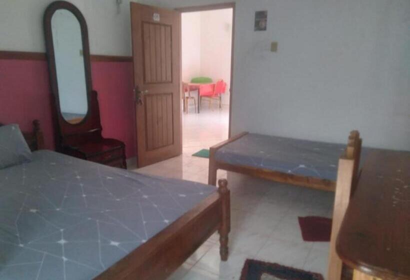 Economy Room, Green View Buttala