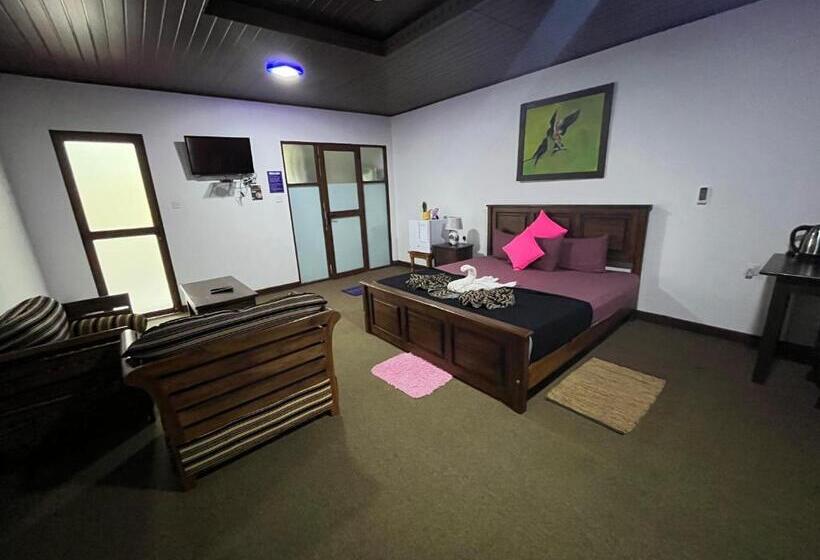 Deluxe Room, Green View Buttala