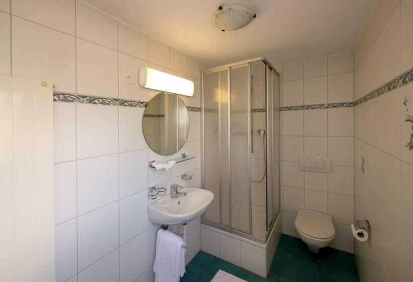 غرفة قياسية فردية, Landgasthof Werdenberg