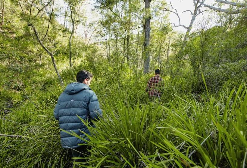 דירת חדר, Maya Sanctuary