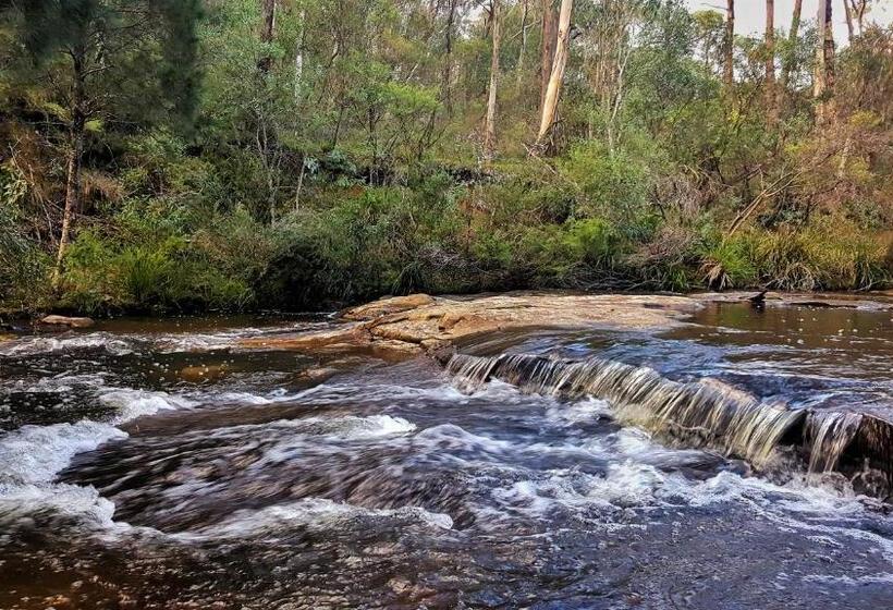 דירת חדר, Maya Sanctuary
