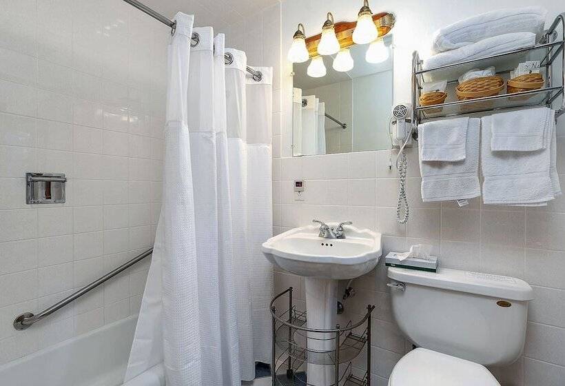 Номер Deluxe, Towne Lyne Motel