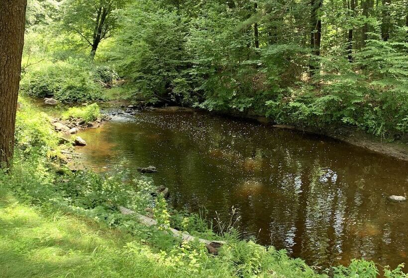 Номер Deluxe, Towne Lyne Motel