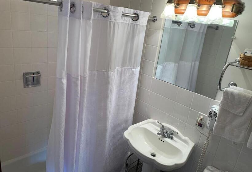 Номер Deluxe, Towne Lyne Motel