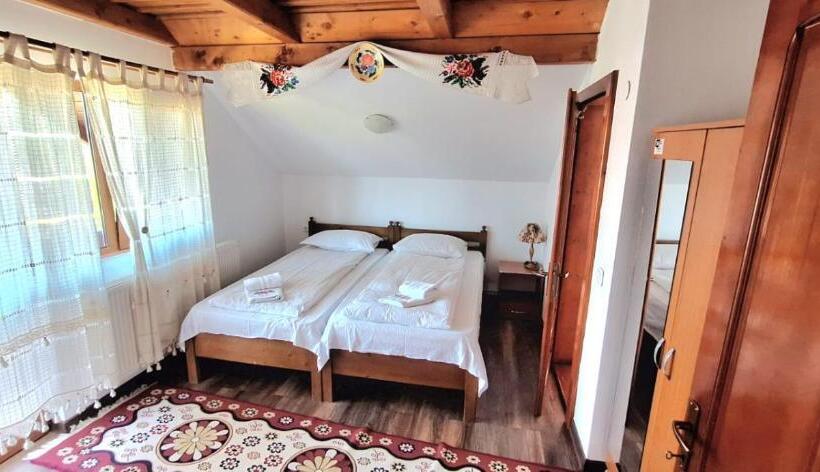 Номер Стандарт, Pensiunea Ileana Teleptean