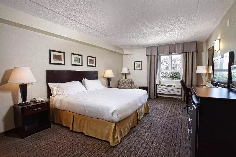 キングサイズベッドのスイートルーム, Comfort Inn & Suites