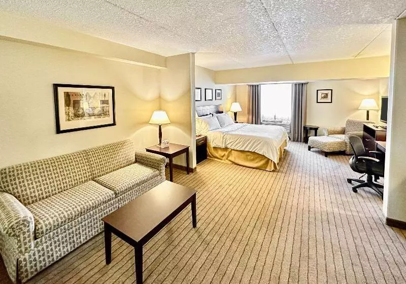 キングサイズベッドのスタンダードルーム, Comfort Inn & Suites