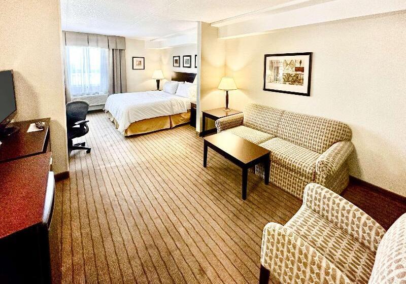 غرفة قياسية سرير كينج, Comfort Inn & Suites